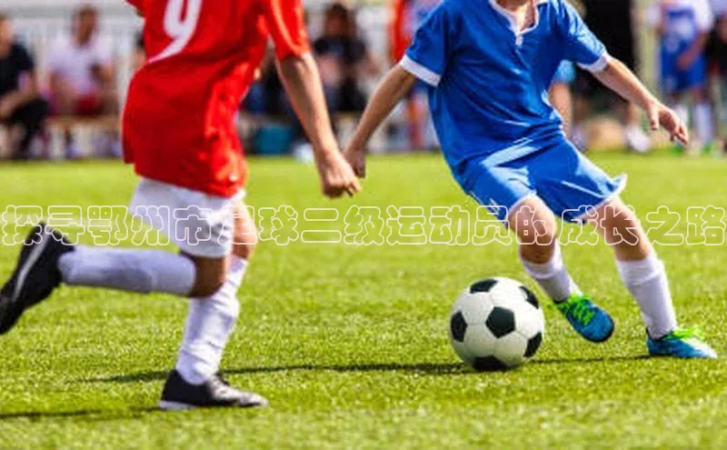 Vsport体育网页手机版度小满支付探寻鄂州市足球二级运动员的成长之路