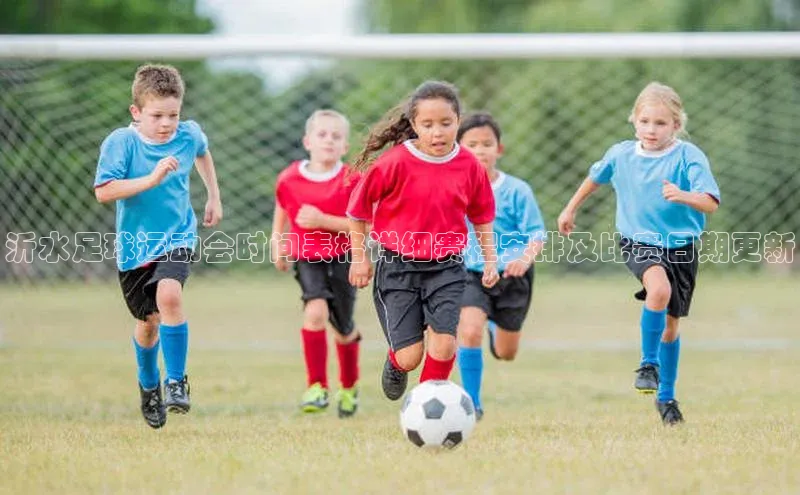 Vsport入口每日互动沂水足球运动会时间表格详细赛程安排及比赛日期更新