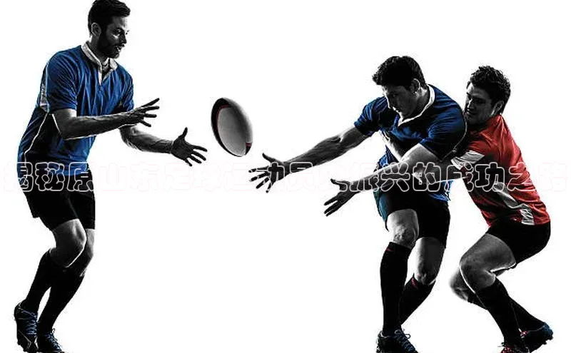 Vsport入口每日互动揭秘原山东足球运动员史振兴的成功之路