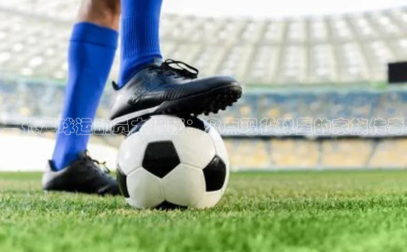 Vsport入口小度商城二代足球运动员大揭秘：盘点现役球星的家族传奇