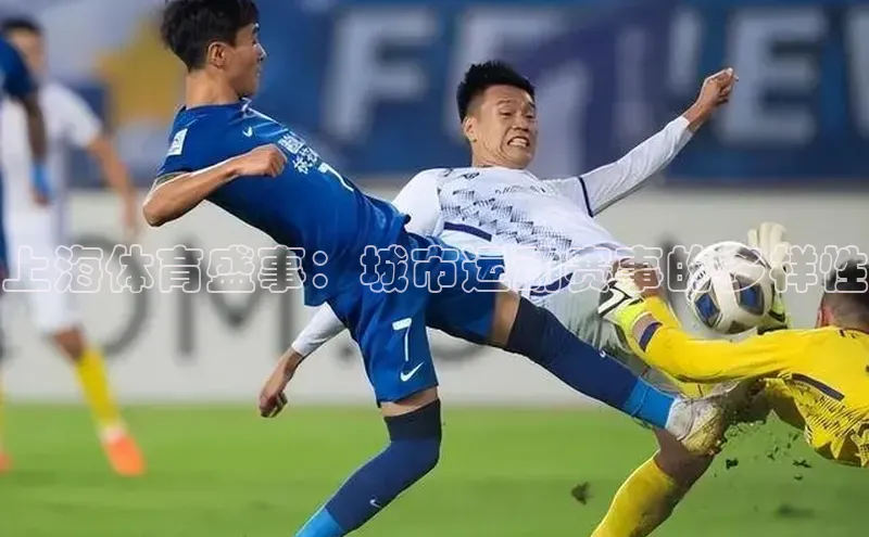 vsport体育在线官网视觉中国上海体育盛事：城市运动赛事的多样性