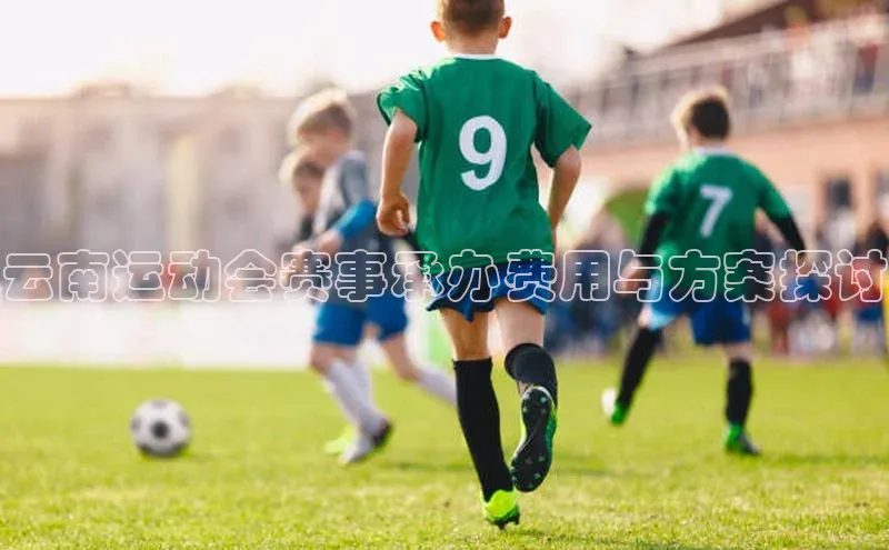 VSport官网入口京东云南运动会赛事承办费用与方案探讨