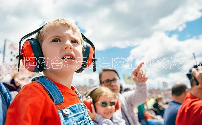 vsport体育在线官网阿里尔公司汉阴运动会：竞技与文化的交融之旅