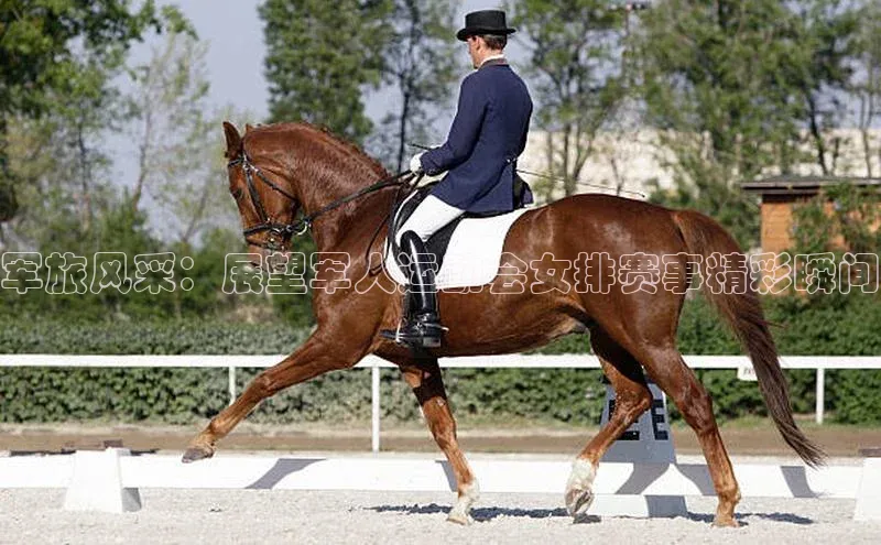 vsport-胜利因官网入口百度取证军旅风采：展望军人运动会女排赛事精彩瞬间