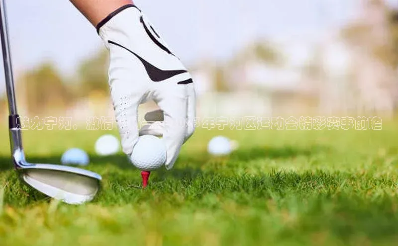 vsport体育最新消息观星盘魅力宁河，激情飞扬——2023年宁河区运动会精彩赛事前瞻