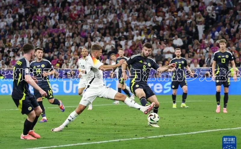 VSport - 胜利因您更精彩如流深圳运动狂欢：活力与激情的多元盛会