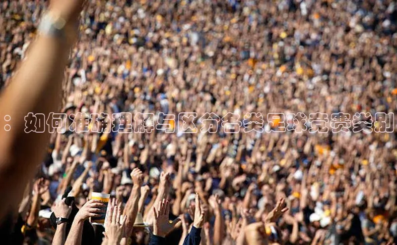 ：如何准确理解与区分各类足球竞赛类别