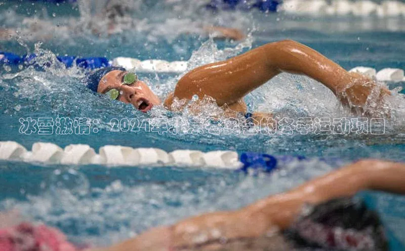 冰雪激情：2024年北京冬奥会的冬季运动项目