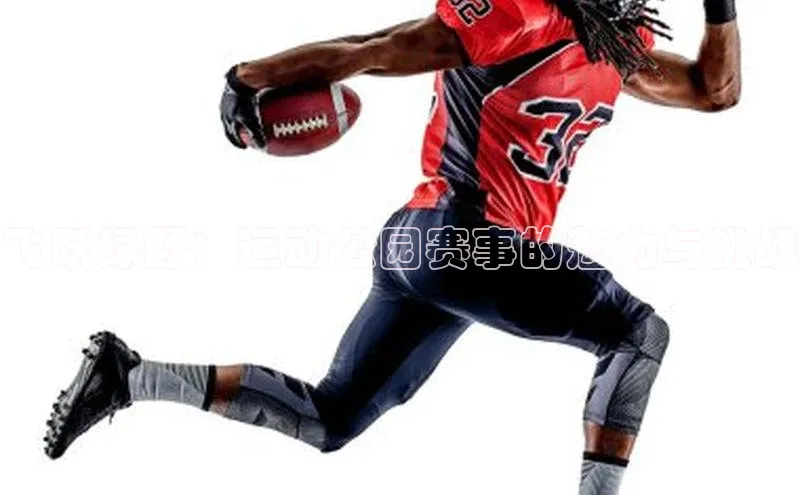 飞跃绿野：运动公园赛事的魅力与挑战