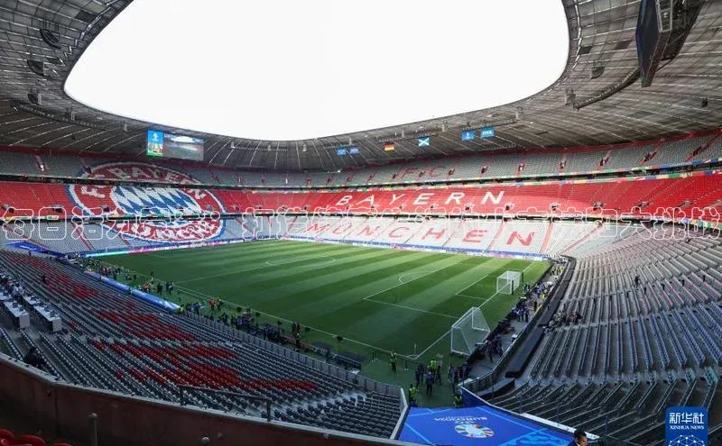 每日活力竞赛：打造健康生活的小方法和大挑战