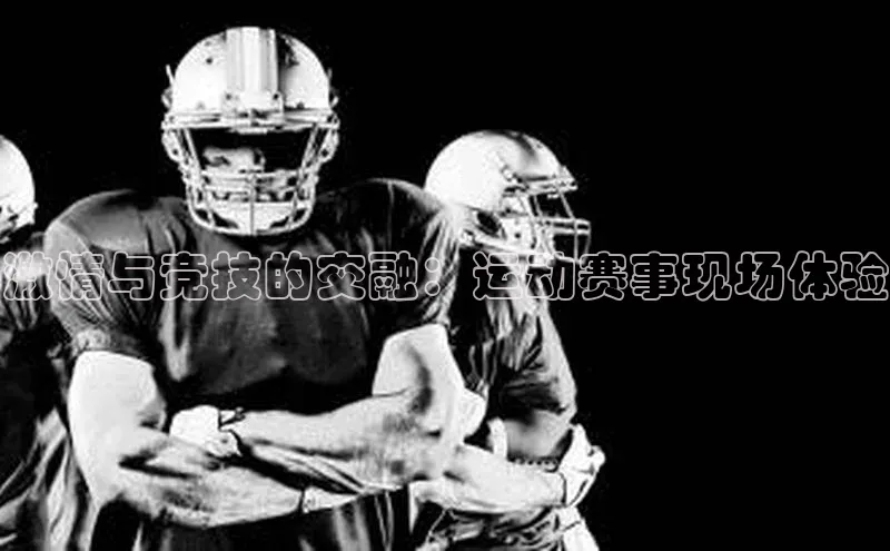 激情与竞技的交融：运动赛事现场体验