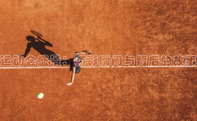 运动会盛景：精彩瞬间与背后的故事