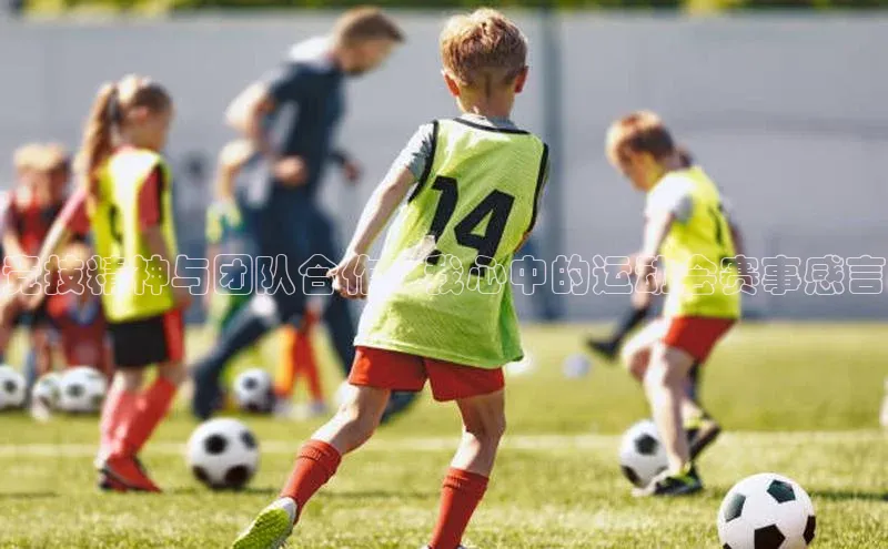 竞技精神与团队合作：我心中的运动会赛事感言