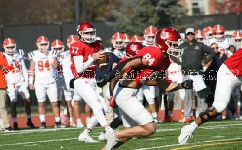 热血与泪：追梦之路——运动赛事中的人情物象分析