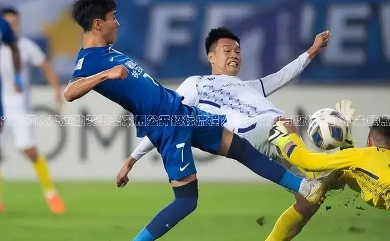 ：为何大型运动赛事需采用公开招标流程？赛事组织与投标策略的关键点