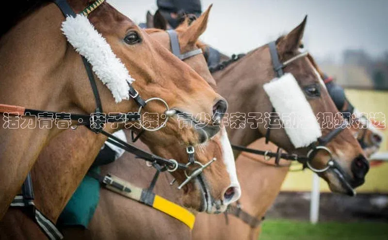 活力青春·亲子共舞：青少年亲子运动会视频精选