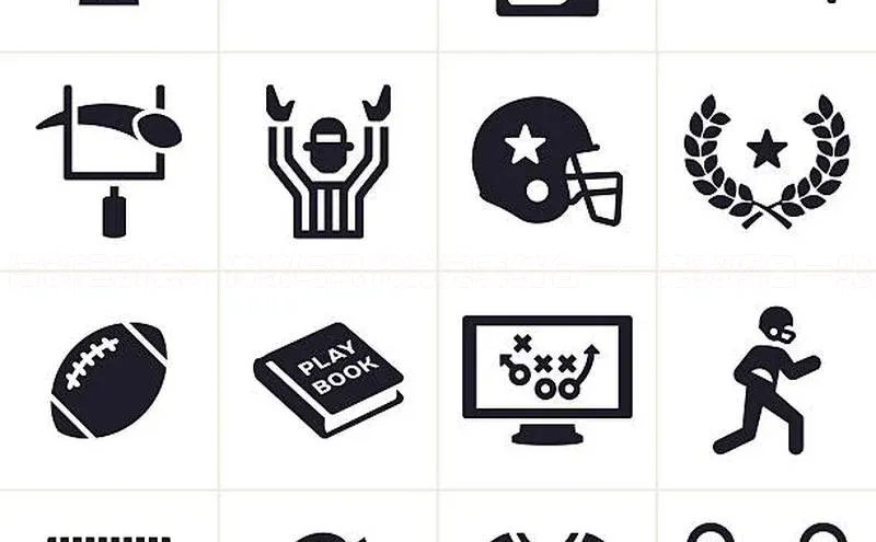 信鸽运动会：传统与现代的完美结合——竞赛项目一览