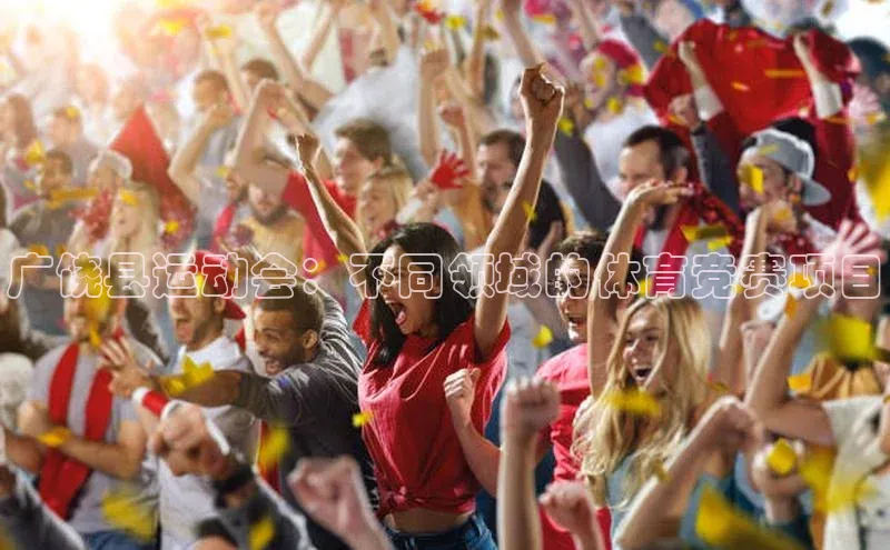 Vsport体育APP下载