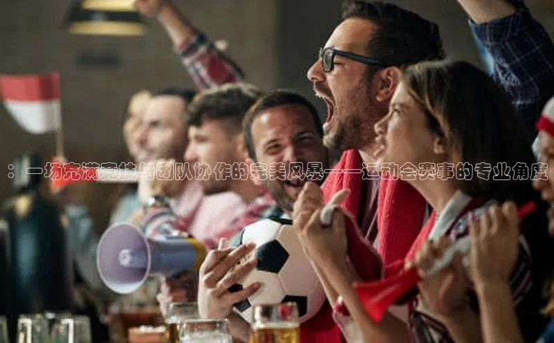 Vsport胜利因您更精彩v体育