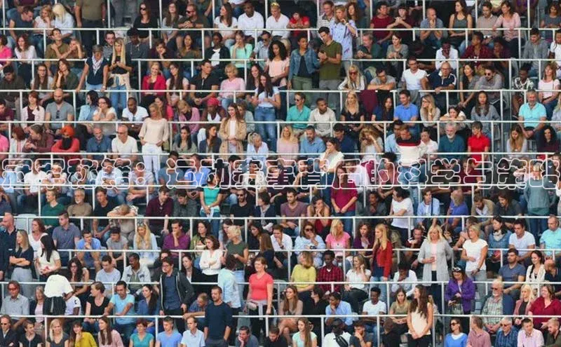 V·体育官方网站