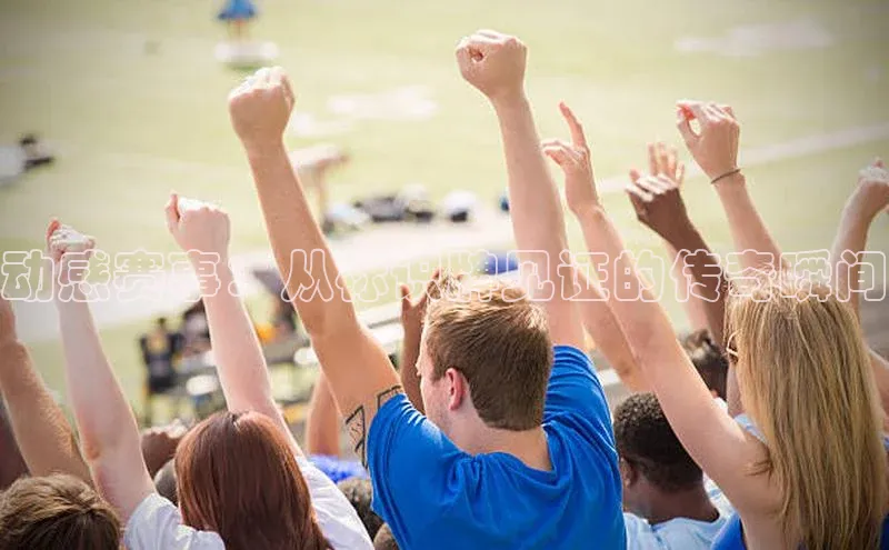 vsport胜利因您而精彩