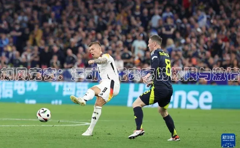 V体育网页版入口