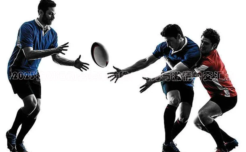 vsport体育最新消息