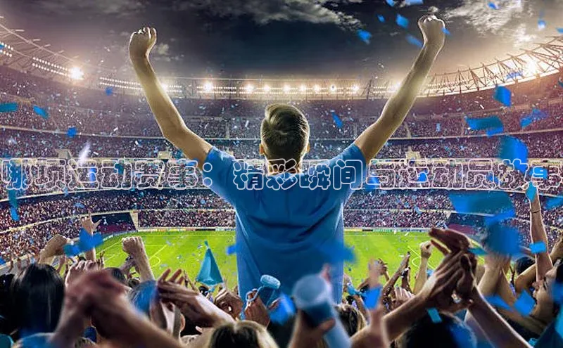 V体育网页版入口