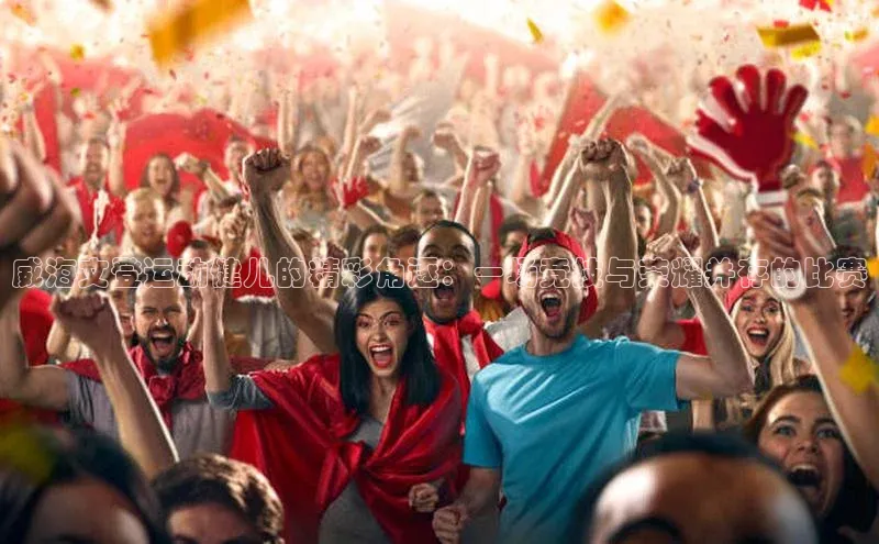 Vsport体育网页手机版