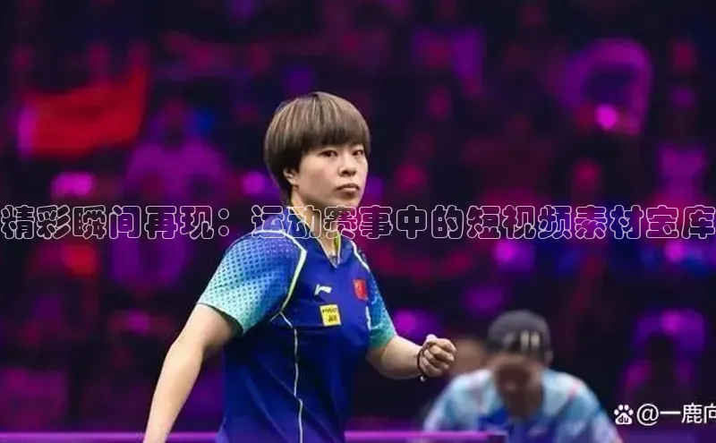 V·体育官方网站