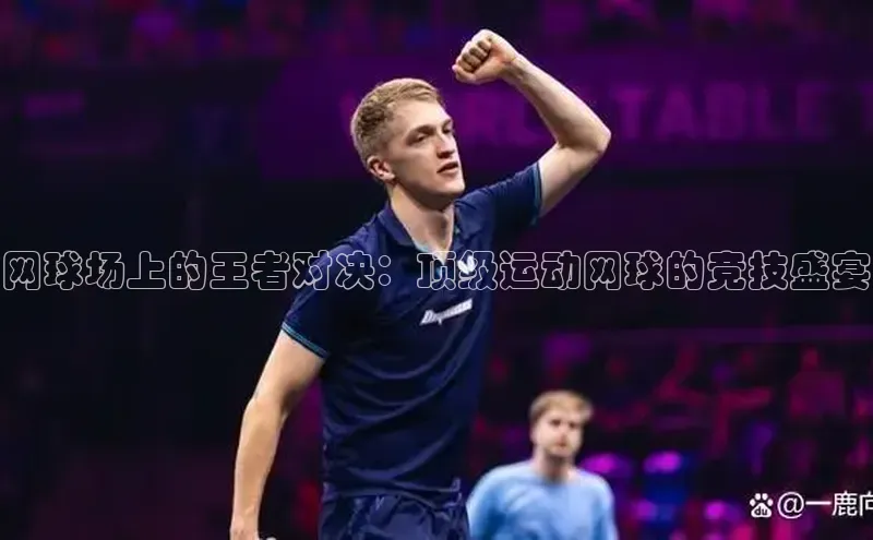 Vsport胜利因您更精彩v体育