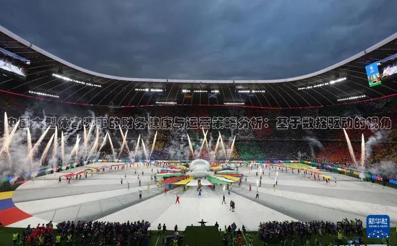 中国大型体育赛事的财务健康与运营策略分析：基于数据驱动的视角